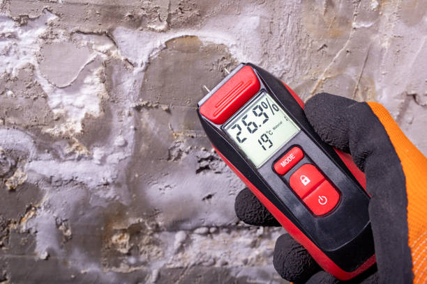Best Mold Damage Repair  in Colma, CA